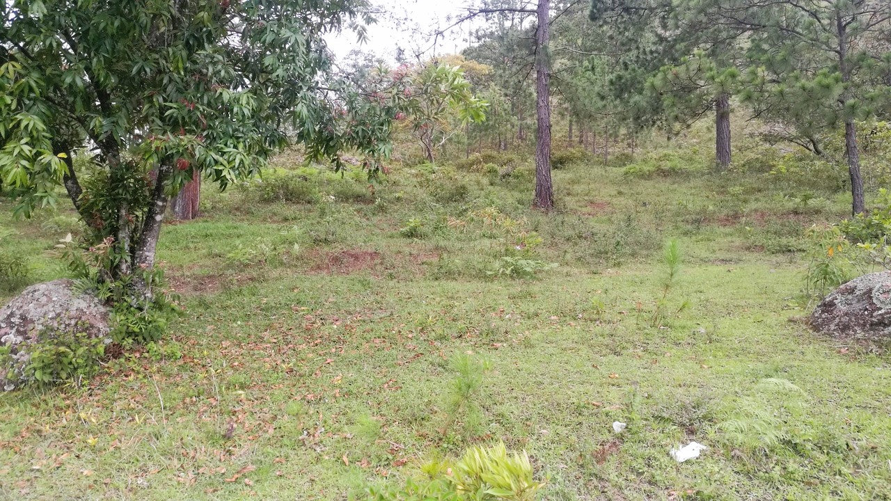 Propiedad V007 (Terreno Rural) - Cerro Grande, Valle de Ángeles