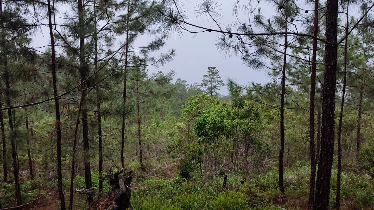 Propiedad V042 (Terreno Urbano) - Residencial Miralago (El Hatillo), Tegucigalpa