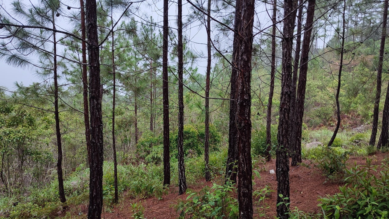 Propiedad V042 (Terreno Urbano) - Residencial Miralago (El Hatillo), Tegucigalpa