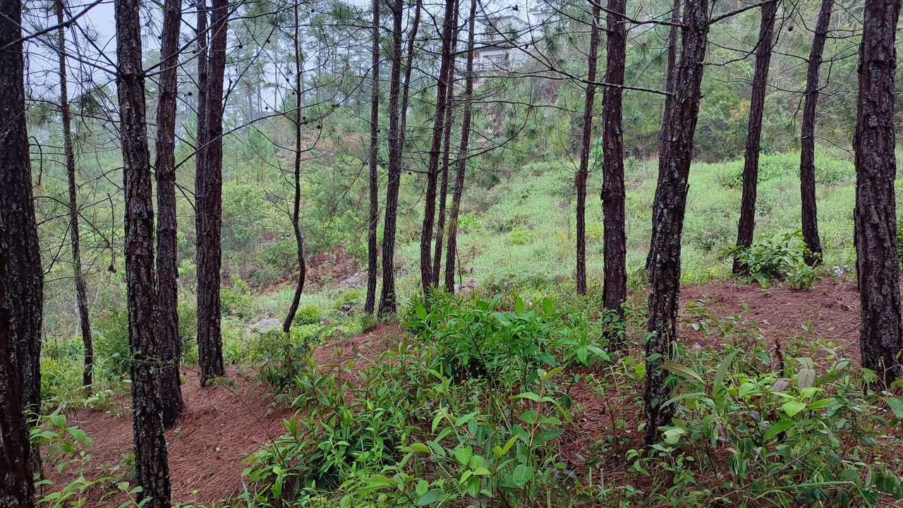 Propiedad V042 (Terreno Urbano) - Residencial Miralago (El Hatillo), Tegucigalpa