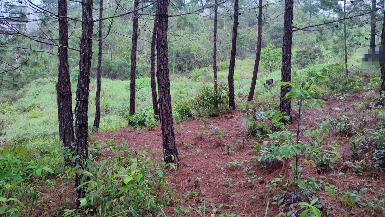 Propiedad V042 (Terreno Urbano) - Residencial Miralago (El Hatillo), Tegucigalpa