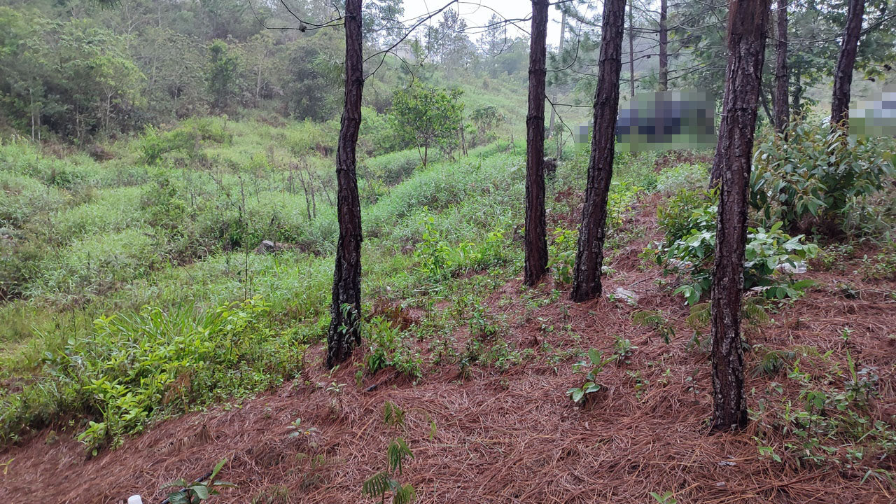 Propiedad V042 (Terreno Urbano) - Residencial Miralago (El Hatillo), Tegucigalpa