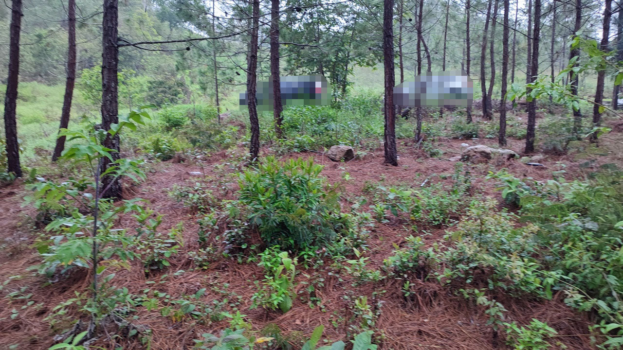 Propiedad V042 (Terreno Urbano) - Residencial Miralago (El Hatillo), Tegucigalpa