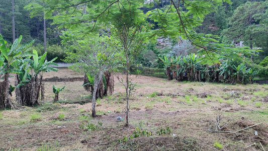 Propiedad V039 (Terreno Urbano) - El Hatillo, Tegucigalpa