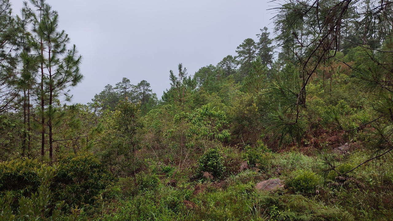 Propiedad V042 (Terreno Urbano) - Residencial Miralago (El Hatillo), Tegucigalpa