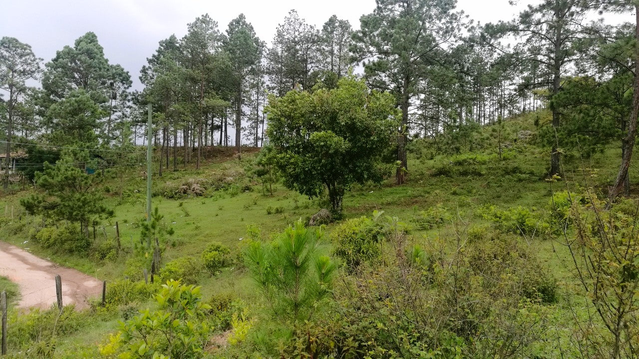Propiedad V007 (Terreno Rural) - Cerro Grande, Valle de Ángeles