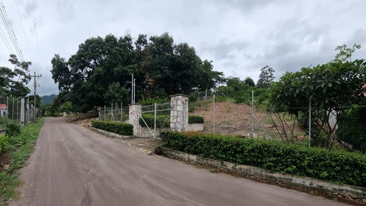 Propiedad V041 (Terreno Rural) - Napoleones del Pedregal, El Zamorano