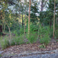 Propiedad V043 (Terreno Urbano) - Residencial Miralago (El Hatillo), Tegucigalpa