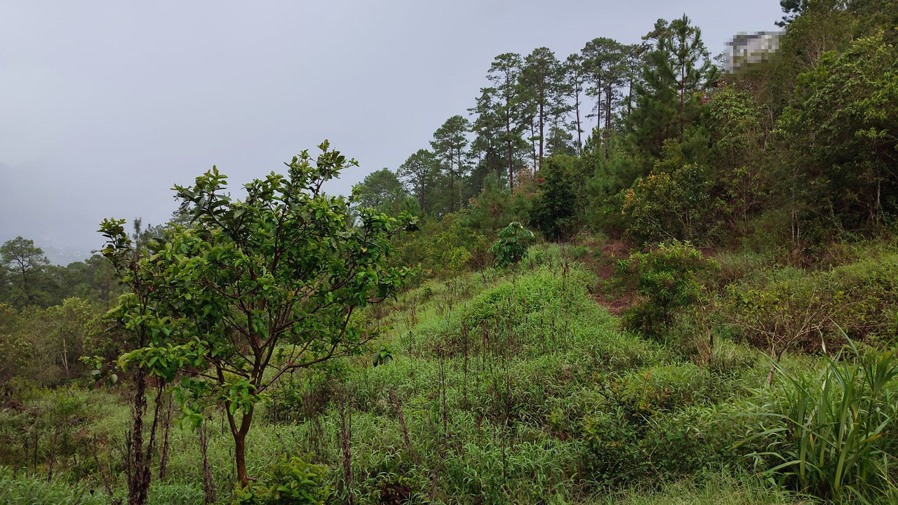 Propiedad V042 (Terreno Urbano) - Residencial Miralago (El Hatillo), Tegucigalpa