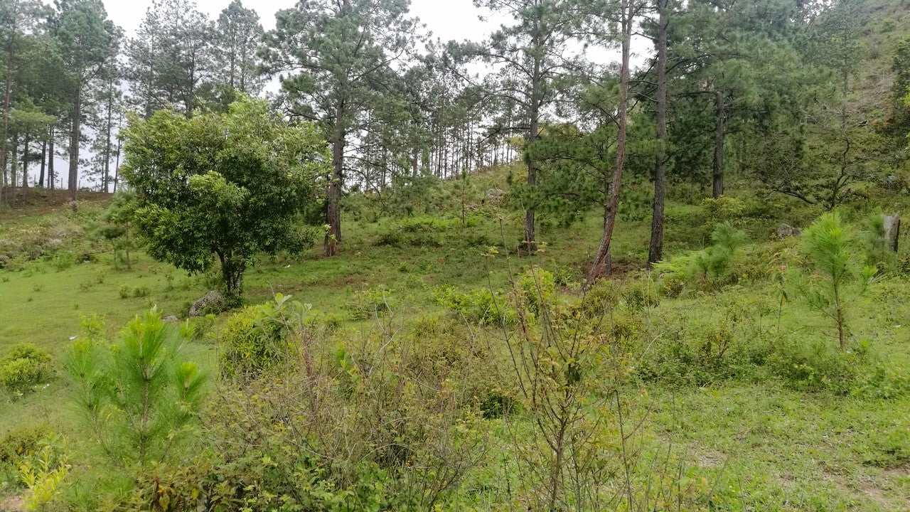 Propiedad V007 (Terreno Rural) - Cerro Grande, Valle de Ángeles