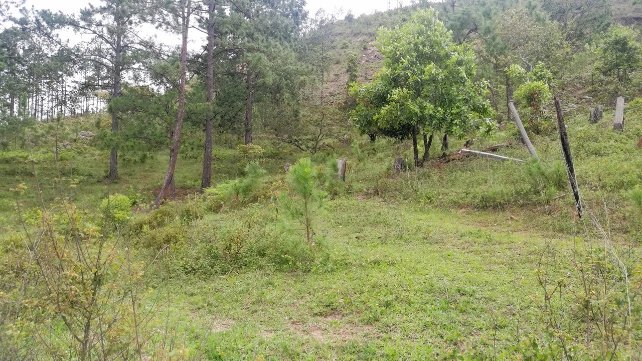 Propiedad V007 (Terreno Rural) - Cerro Grande, Valle de Ángeles
