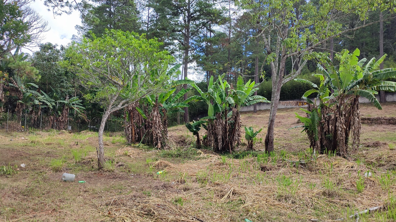 Propiedad V039 (Terreno Urbano) - El Hatillo, Tegucigalpa