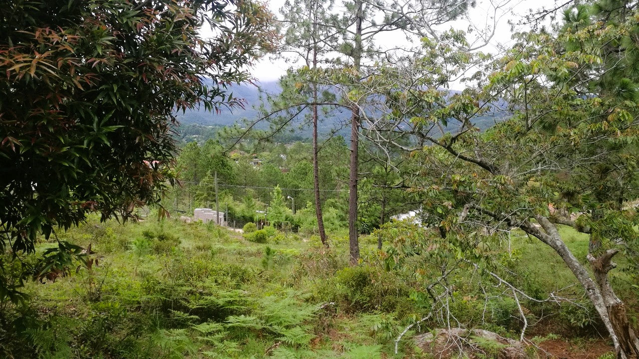 Propiedad V007 (Terreno Rural) - Cerro Grande, Valle de Ángeles