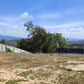 Propiedad V040 (Terreno Rural) - Napoleones del Pedregal, El Zamorano