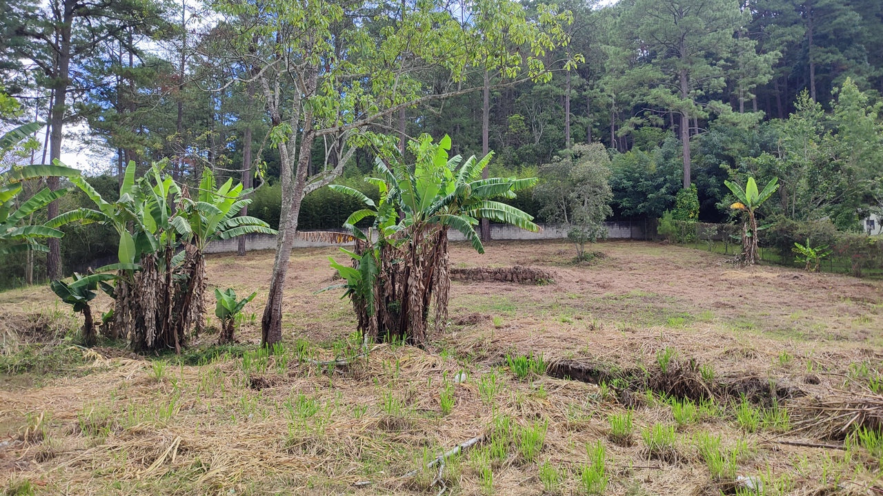 Propiedad V039 (Terreno Urbano) - El Hatillo, Tegucigalpa