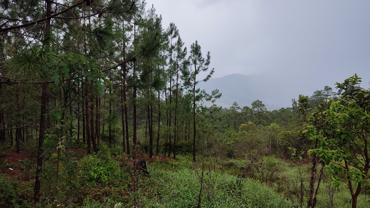 Propiedad V042 (Terreno Urbano) - Residencial Miralago (El Hatillo), Tegucigalpa