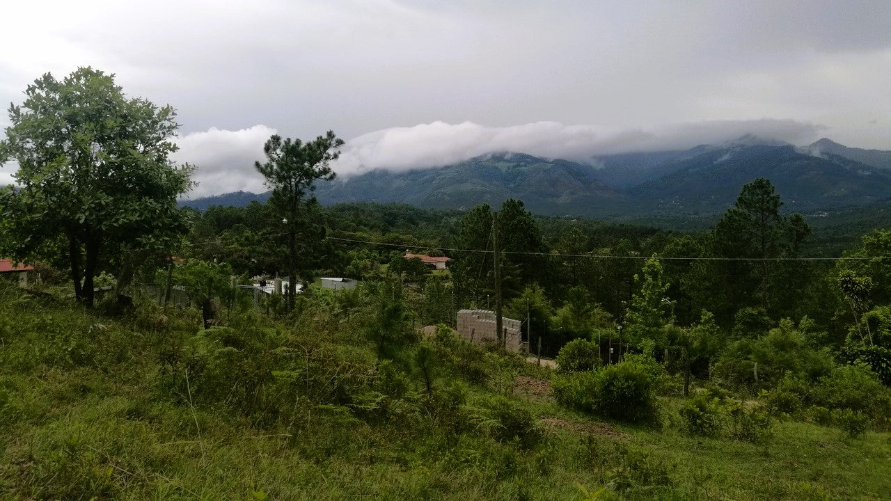 Propiedad V007 (Terreno Rural) - Cerro Grande, Valle de Ángeles