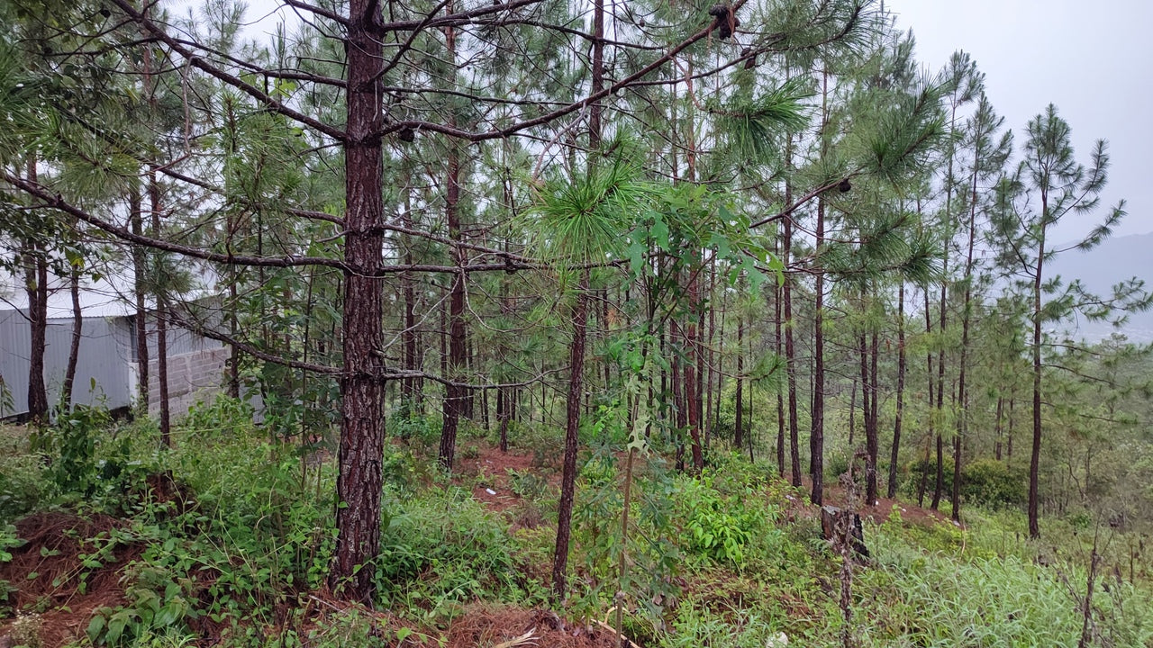 Propiedad V042 (Terreno Urbano) - Residencial Miralago (El Hatillo), Tegucigalpa