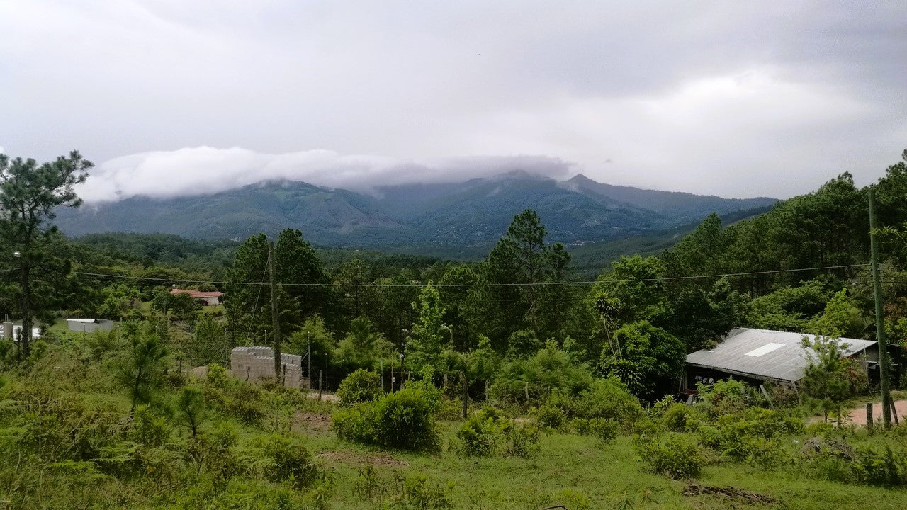 Propiedad V007 (Terreno Rural) - Cerro Grande, Valle de Ángeles