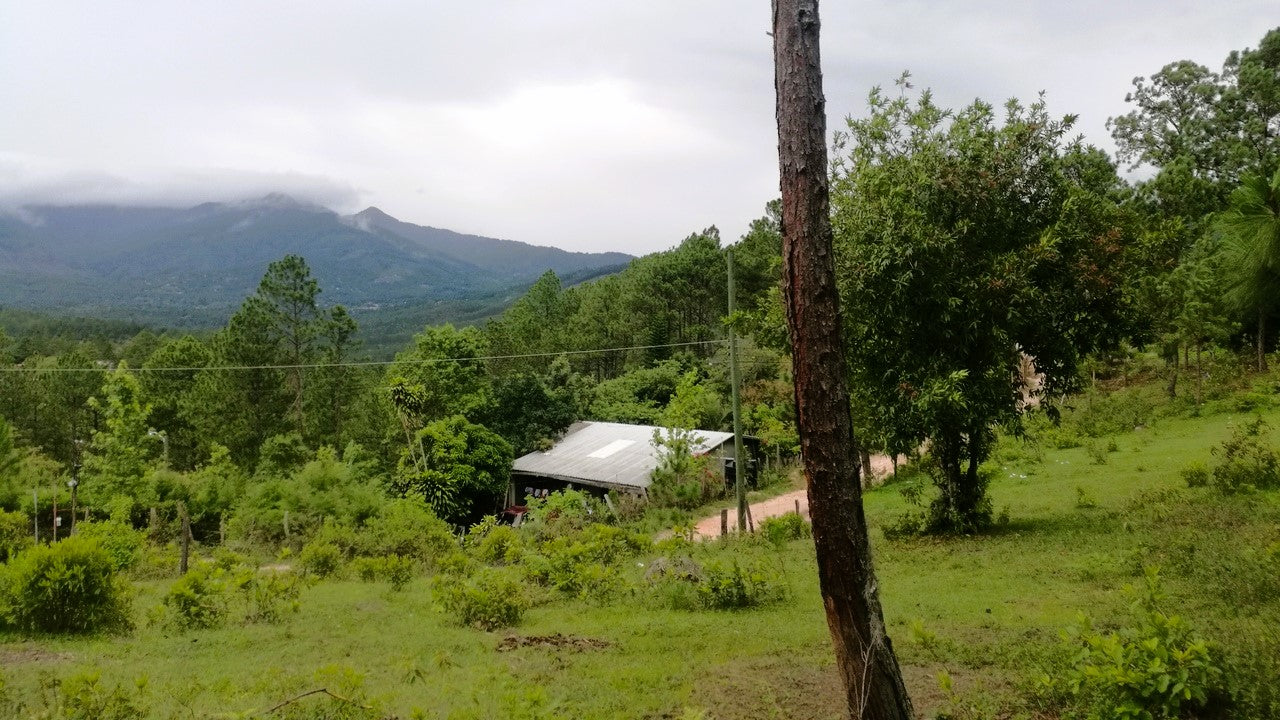 Propiedad V007 (Terreno Rural) - Cerro Grande, Valle de Ángeles