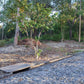 Propiedad V043 (Terreno Urbano) - Residencial Miralago (El Hatillo), Tegucigalpa