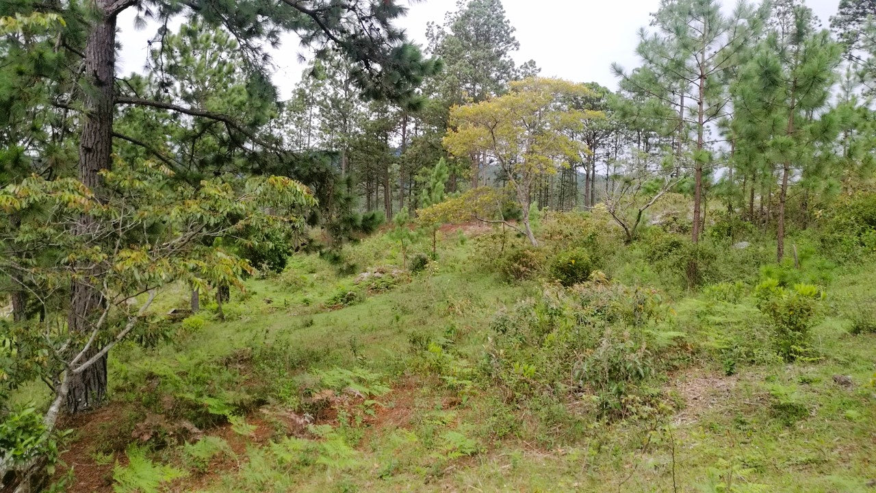 Propiedad V007 (Terreno Rural) - Cerro Grande, Valle de Ángeles
