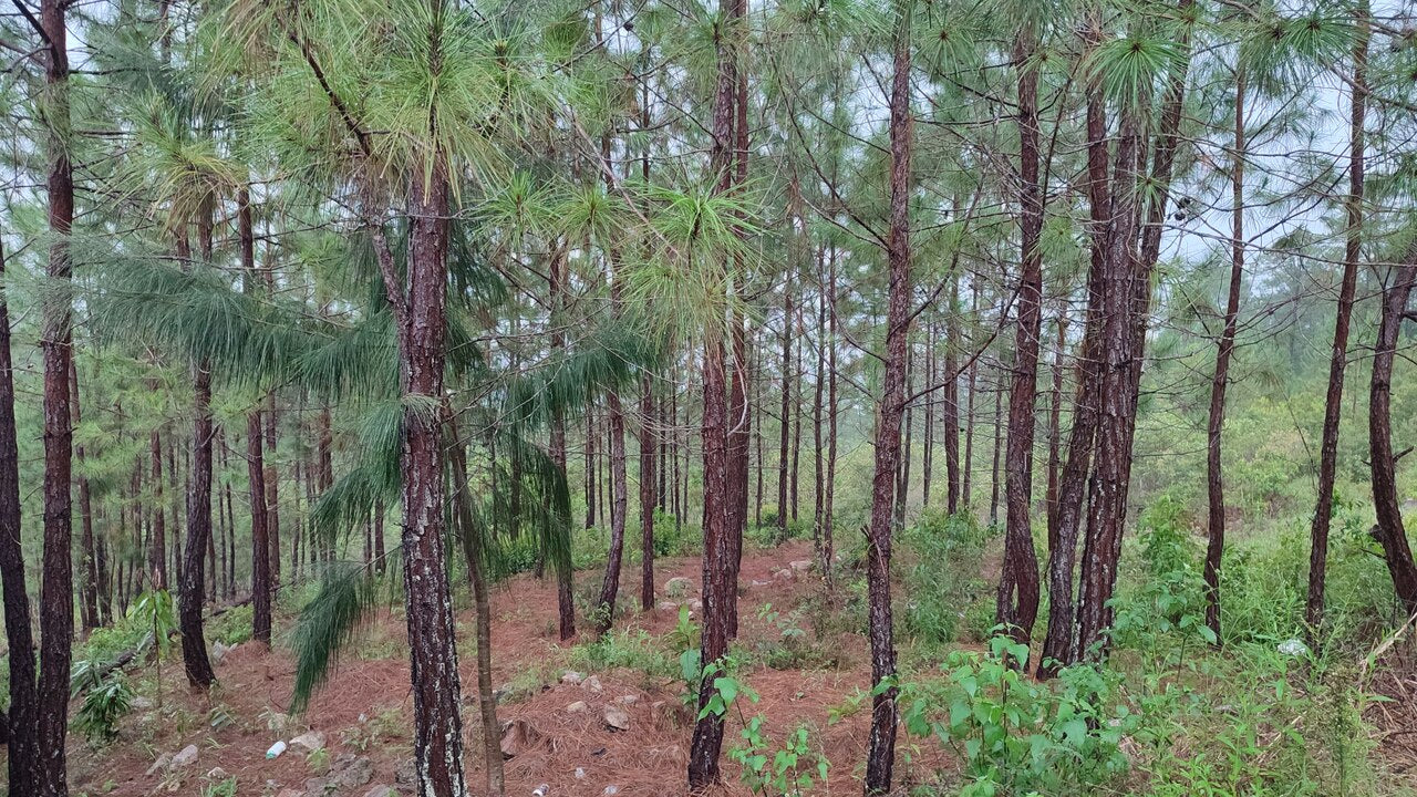 Propiedad V042 (Terreno Urbano) - Residencial Miralago (El Hatillo), Tegucigalpa