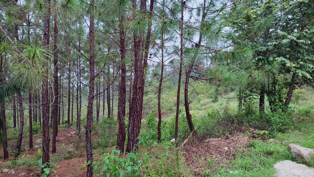 Propiedad V042 (Terreno Urbano) - Residencial Miralago (El Hatillo), Tegucigalpa