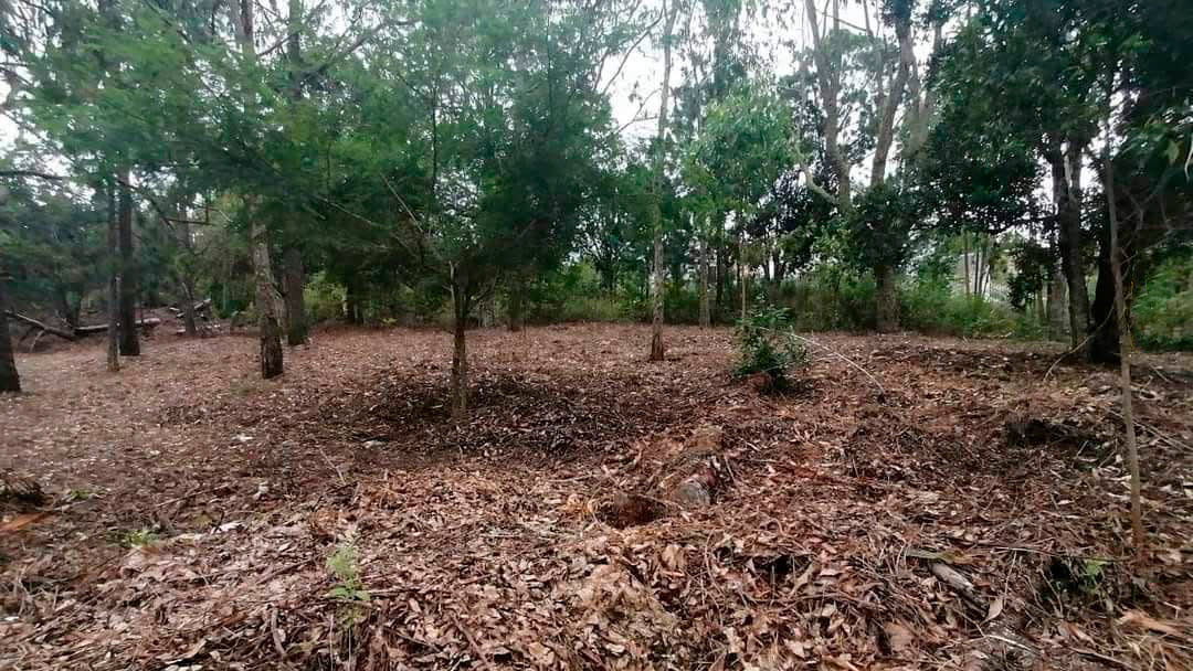 Propiedad V043 (Terreno Urbano) - Residencial Miralago (El Hatillo), Tegucigalpa
