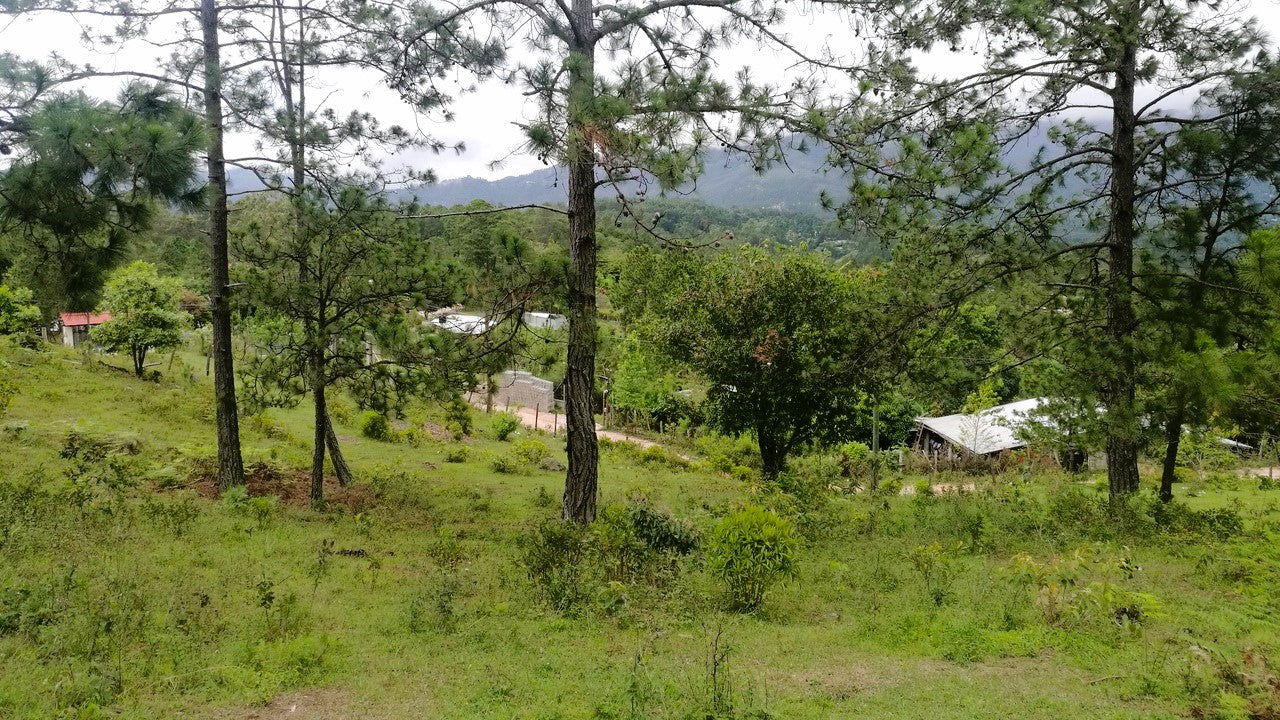 Propiedad V007 (Terreno Rural) - Cerro Grande, Valle de Ángeles
