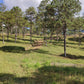 Propiedad V019 (Terreno Rural) - Aldea Buenas Casas, Siguatepeque