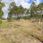 Propiedad V019 (Terreno Rural) - Aldea Buenas Casas, Siguatepeque