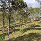 Propiedad V019 (Terreno Rural) - Aldea Buenas Casas, Siguatepeque