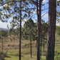 Propiedad V019 (Terreno Rural) - Aldea Buenas Casas, Siguatepeque