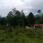 Propiedad V006 (Terreno Rural) - Cerro Grande, Valle de Ángeles