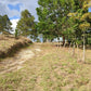 Propiedad V019 (Terreno Rural) - Aldea Buenas Casas, Siguatepeque
