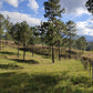 Propiedad V019 (Terreno Rural) - Aldea Buenas Casas, Siguatepeque