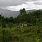 Propiedad V006 (Terreno Rural) - Cerro Grande, Valle de Ángeles
