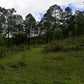 Propiedad V006 (Terreno Rural) - Cerro Grande, Valle de Ángeles