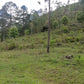 Propiedad V006 (Terreno Rural) - Cerro Grande, Valle de Ángeles